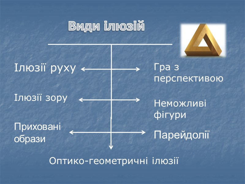 Види ілюзій Ілюзії руху Гра з перспективою Ілюзії зору    Оптико-геометричні ілюзії